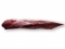 Hirsch Filet